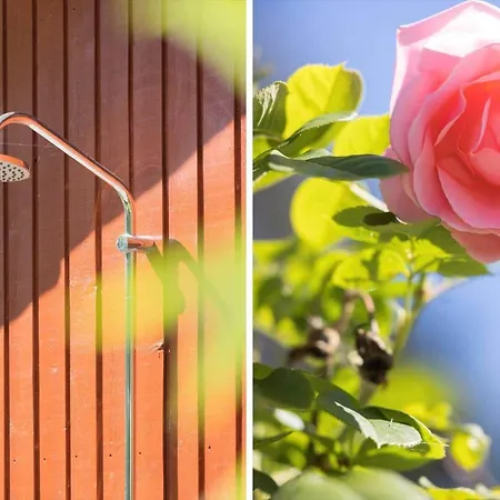 2703-nexo-strandmolleskoven-1 *