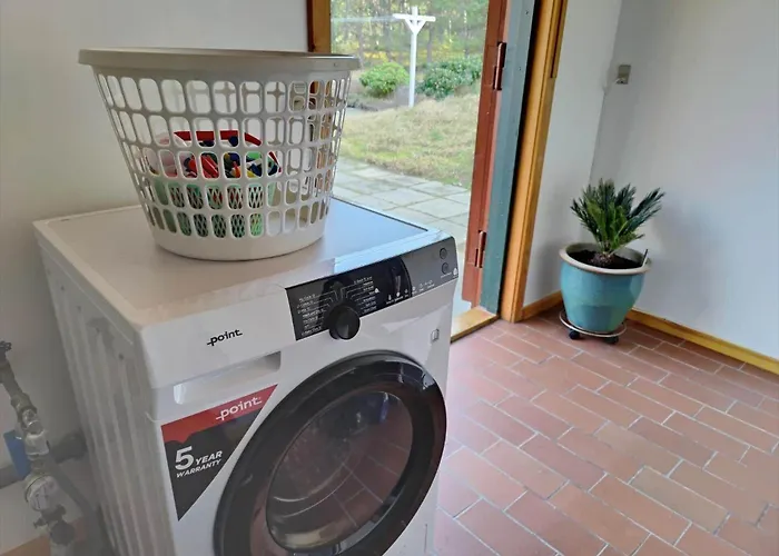 2703-nexo-strandmolleskoven-1 * Vester Somarken