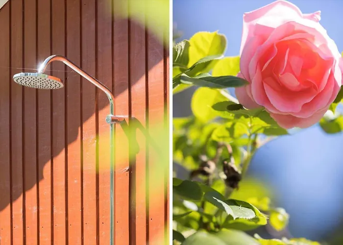 2703-nexo-strandmolleskoven-1 *